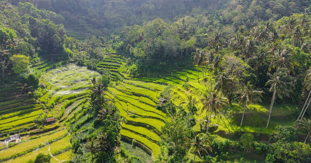 Bali-35428411