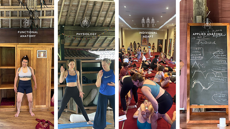 functional-anatomy-yoga-teacher-training-05