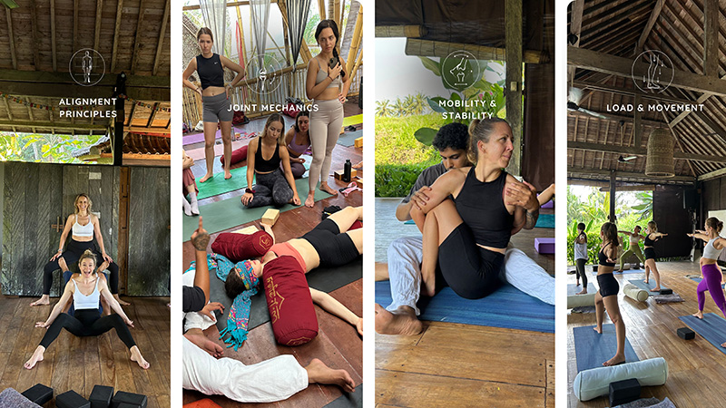 yoga-alignment-principles-biomechanics-03